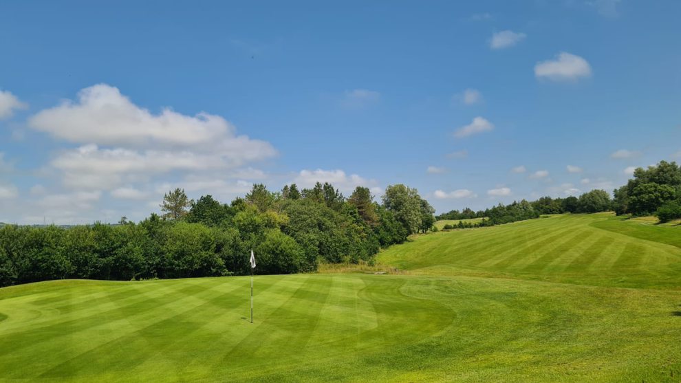 17 - Fforest Uchaf - High Forest